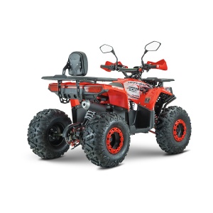 ATV RDB AY125, 125cc, 4 Timpi - Img 2
