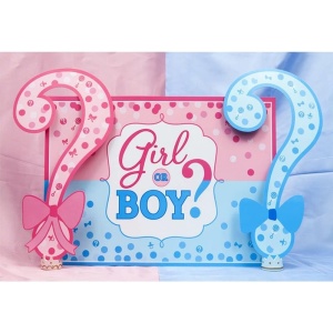 Banner pentru Petrecere, Flippy, Model Girl or Boy, Tematica Gender Reveal, 150 x 100 cm, Albastru Roz - Img 7