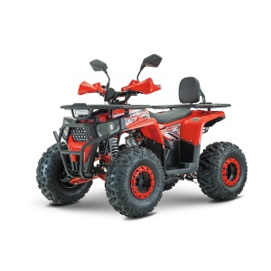 ATV RDB AY125, 125cc, 4 Timpi - Img 3