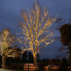 Instalatie de Craciun Liniara Yoto, 22 m, din care 1 m Prelungitor 220V, 300 LED, 8 jocuri de lumini, Controler, Utilizare Interior/Exterior, Fir Negru, Alb Cald - Img 9