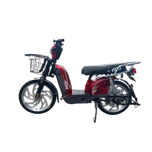 Scuter electric RDB Dunărea 450W