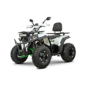 ATV RDB AFB200, 180cc, 4 Timpi - Img 2