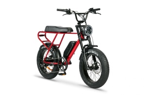 Bicicleta electrica Ztech ZT-86-A LEGACY A autonomie 45 km viteza maxima 25 km/h putere 250W acumulator 13Ah/48V nu necesita permis - Img 2