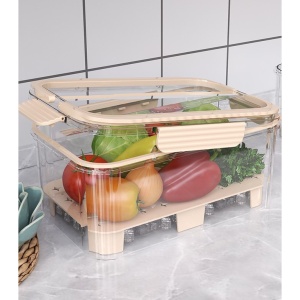 Cutie pentru Depozitare Alimente, Flippy, de Uz Casnic, 2 Compartimente, Zona pentru Gheata, Mentinere Fresh, cu Maner, Material PET, 23x15x10.8 cm, Bej - Img 11
