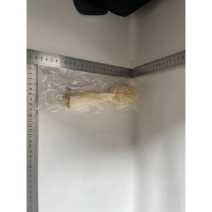 Perie pentru Curatare Incaltaminte cu Recipient pentru Detergent, Flippy, Perie Multifunctionala pentru Incaltaminte si Lenjerie, cu Peri Moi, Fara Deteriorare, 22x6x4 cm, Culoare Galben - Img 2