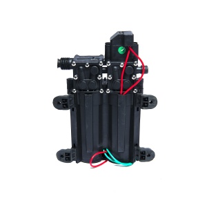 Pompa de apa cu presostat, autoamorsare, corp dublu, 12V, racord 3/8, 8 litri / minut, 150PSI, 10.3bar Pandora - Img 2