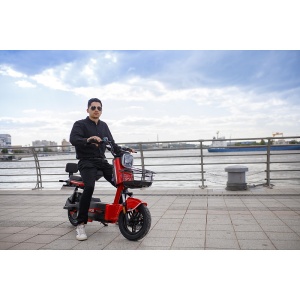 Scuter Electric RDB ROMA, 600W, fara permis, 25km/h - Img 1