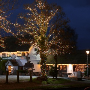 Instalatie de Craciun Liniara Yoto, 50 m, 1 m Prelungitor 220V, 498 LED, 8 Jocuri de Lumini, Controler, Fir Negru, Utilizare Interior/Exterior, Protectie anti-inghet, Fir Cupru, Multicolor - Img 2