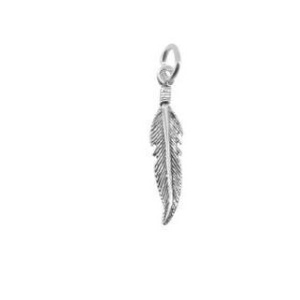 Pandantiv, Jolie Silver, Argint 925, Model Pana, 0.6 g, 25x6 mm - Img 1