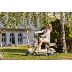 Scuter Electric RDB PARIS, 600W, fara permis, 48V 20Ah, 25km/h