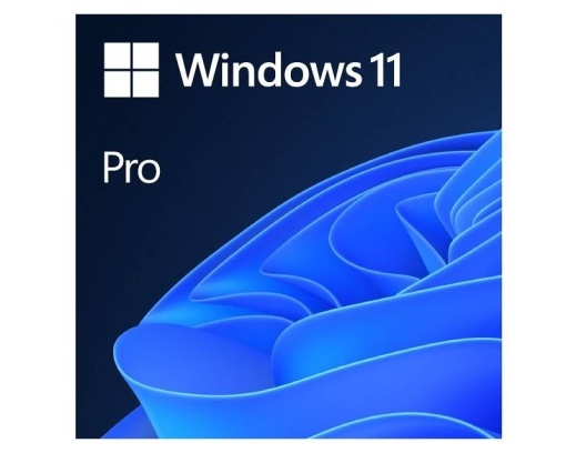 MICROSOFT Windows 11 Pro Eng Intl OEM (FQC-10528) *