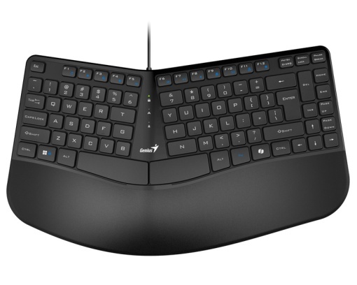 GENIUS Ergo KB-700 USB YU crna tastatura *