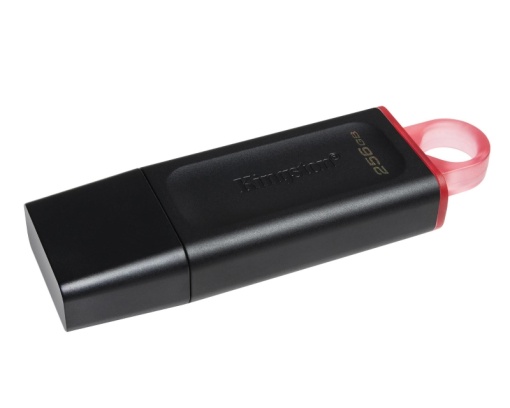 KINGSTON 256GB DataTraveler Exodia USB 3.2 Gen1 DTX/256GB *