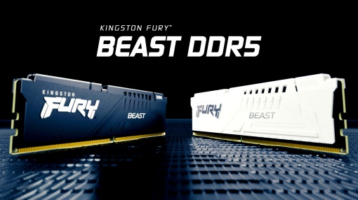 Kingston DDR5 32GB (2x16GB) 5600MHz CL36 DIMM [FURY Beast] White EXPO KF556C36BWEK2-32