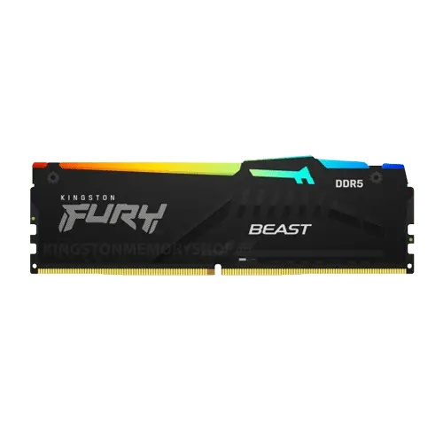 Memorija DDR5 16GB 5600MHz Kingston Fury Beast KF556C36BBEA-16