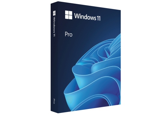 Software Windows 11 Pro Retail 64-bit Eng Intl USB 1PC HAV-00164