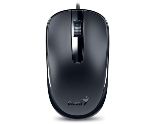 GENIUS DX-120 USB Optical crni miš *