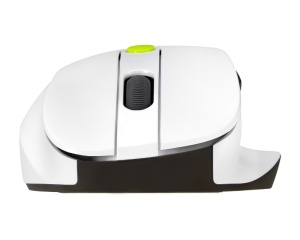 ASUS MD105 Volt Green Wireless miš belo-zeleni