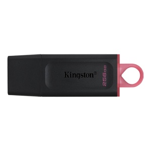 FlashDrive 256GB Kingston DTX/256GB USB3.2 *