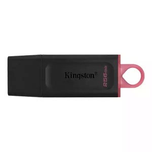 USB Flash 256 GB Kingston 3.2 Exodia DTX/256GB - Img 1