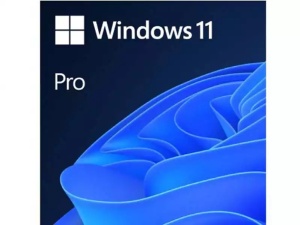Microsoft Windows 11 Pro 64bit Eng Intl OEM DSP DVD (FQC-10528) *