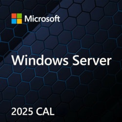 Microsoft Windows Server CAL 2025 English 1pk DSP OEI 5 Clt Device CAL EP2-25243