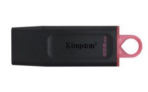 USB FD.256GB KINGSTON DTX/256GB *