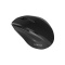 CANYON mouse OnClick 17 Ergonomic 6 buttons 1600DPI Wireless Black CNE-CMSW17B