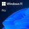 Windows 11 Professional 64Bit English Intl 1pk DSP OEI DVD FQC-10528 * - Img 2