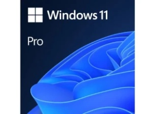 Microsoft Windows 11 Professional 64Bit Eng Intl 1pk DSP OEM DVD FQC-10528 (22H2)