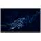 PRESTIGIO SOLUTIONS Multiboard 86" Light Series UHD 4K, Android 8, Wi-Fi, 20TP, touch pen PMB000L864 - Img 5
