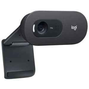 Web camera Logitech C505e 960-001372 - Img 6