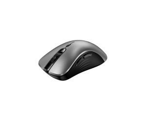 GENIUS Ergo 8100S AI, Silver Grey USB Bežični miš - Img 3