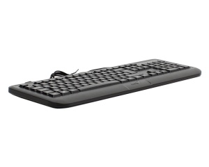GENIUS KB-118 II USB YU crna tastatura *