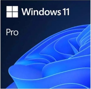 Microsoft Windows 11 Pro * 64bit Eng Intl OEM DSP DVD (FQC-10528) *