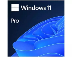 Microsoft Windows 11 Pro FPP 64-bit Eng Intl non-EU/EFTA USB HAV-00164 *