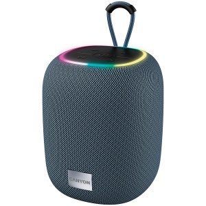 CANYON speaker BSP-8 10W Gray CNE-CBTSP8G