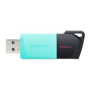 USB FD.256GB KINGSTON DTXM/256GB *