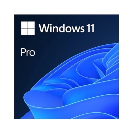 Software Windows 11 Pro Retail 64-bit Eng Intl USB 1PC HAV-00164 - Img 2