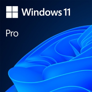 Windows 11 Professional 64Bit English Intl 1pk DSP OEI DVD FQC-10528 *
