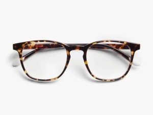 Zaštitne naocare BARNER Dalston/Glossy Tortoise