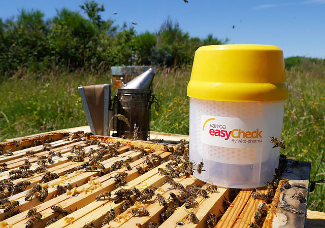 Tester Varroa