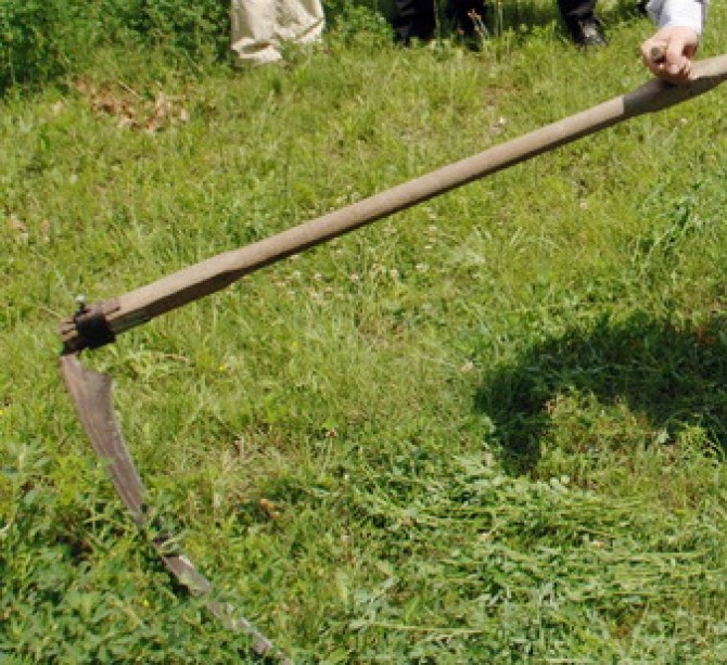 Coasa