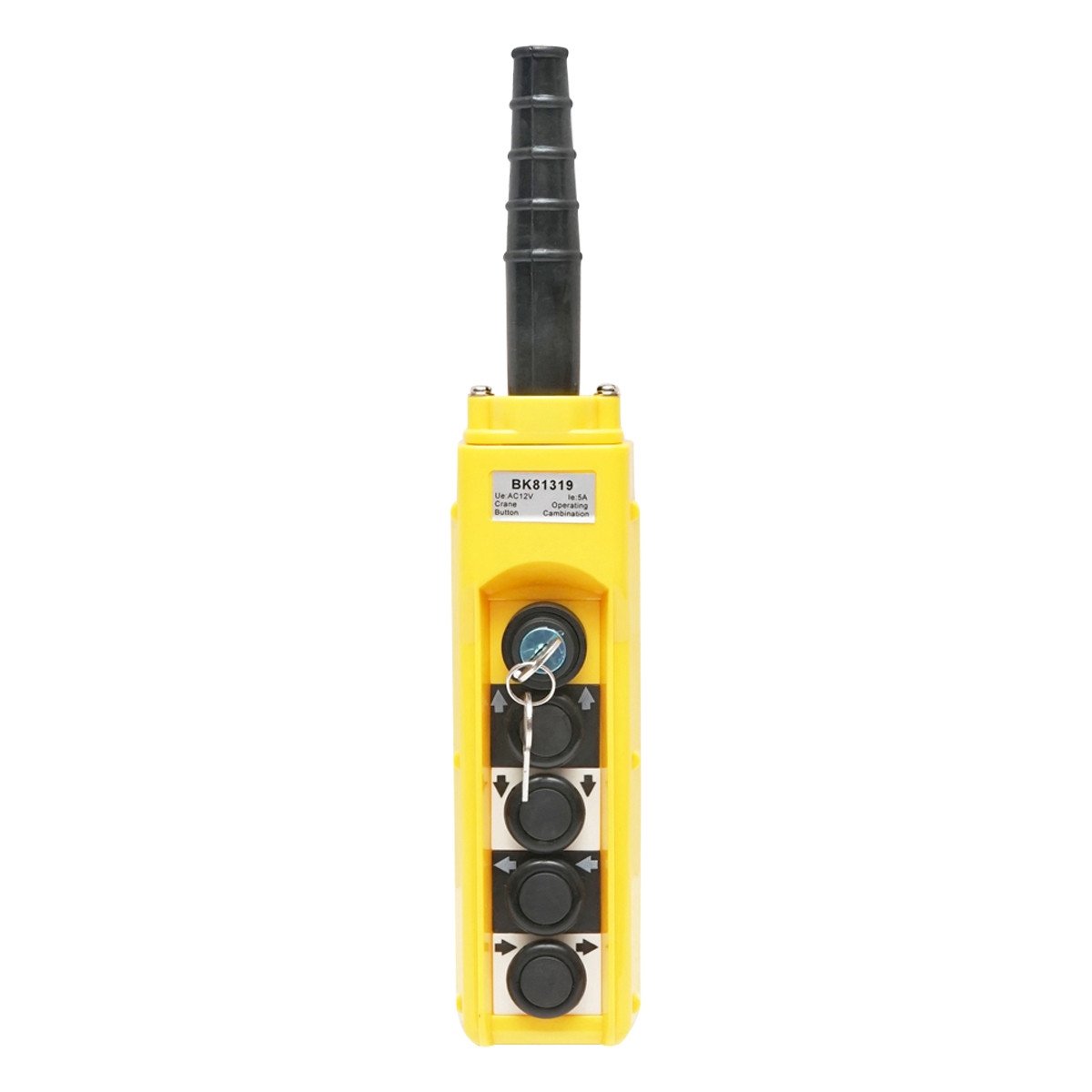 Telecomanda industriala cu 4 comenzi si contact general cu cheie 12V, Cod: BK81319, Brand: BRECKNER GERMANY