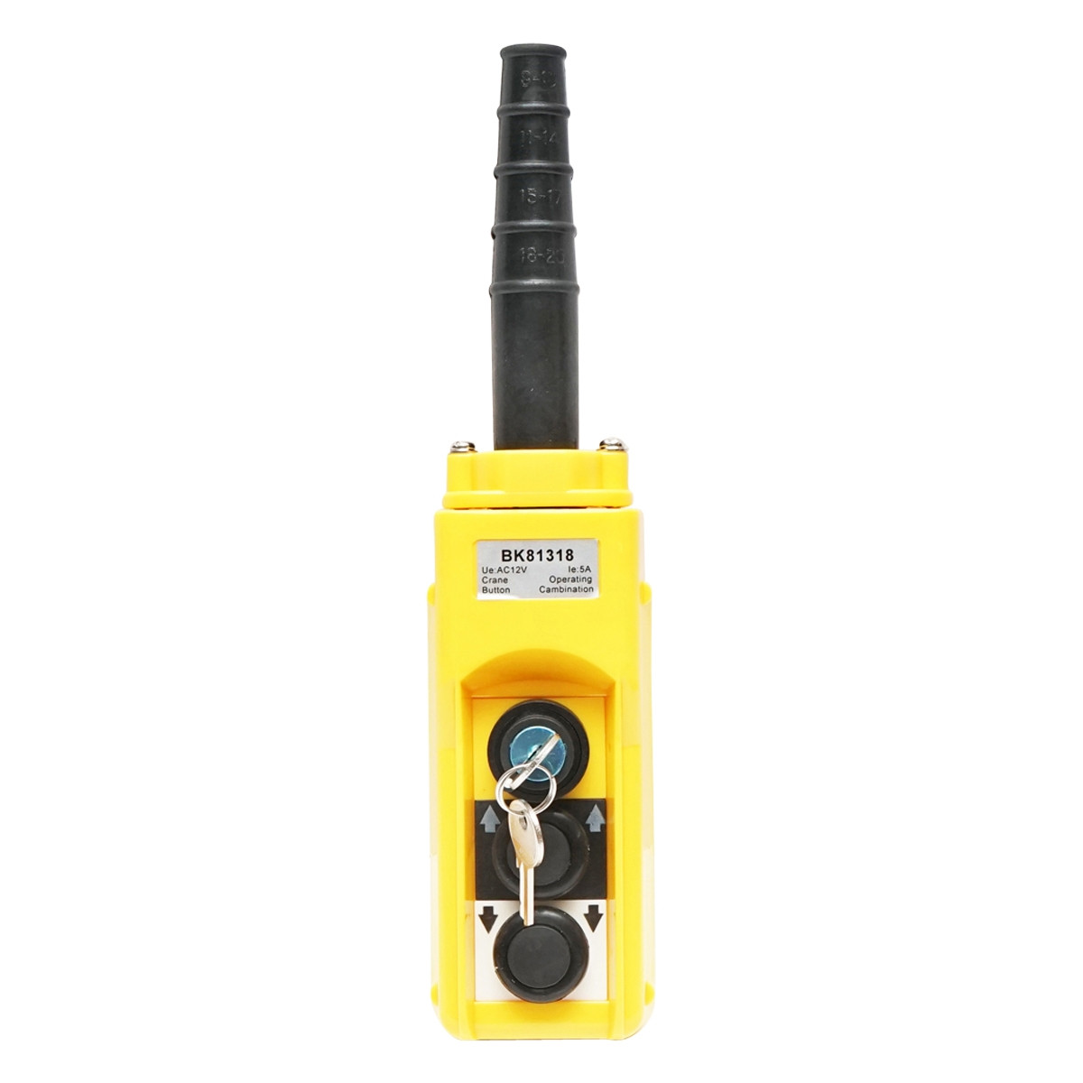 Telecomanda industriala cu 2 comenzi si contact general cu cheie 12V, Cod: BK81318, Brand: BRECKNER GERMANY