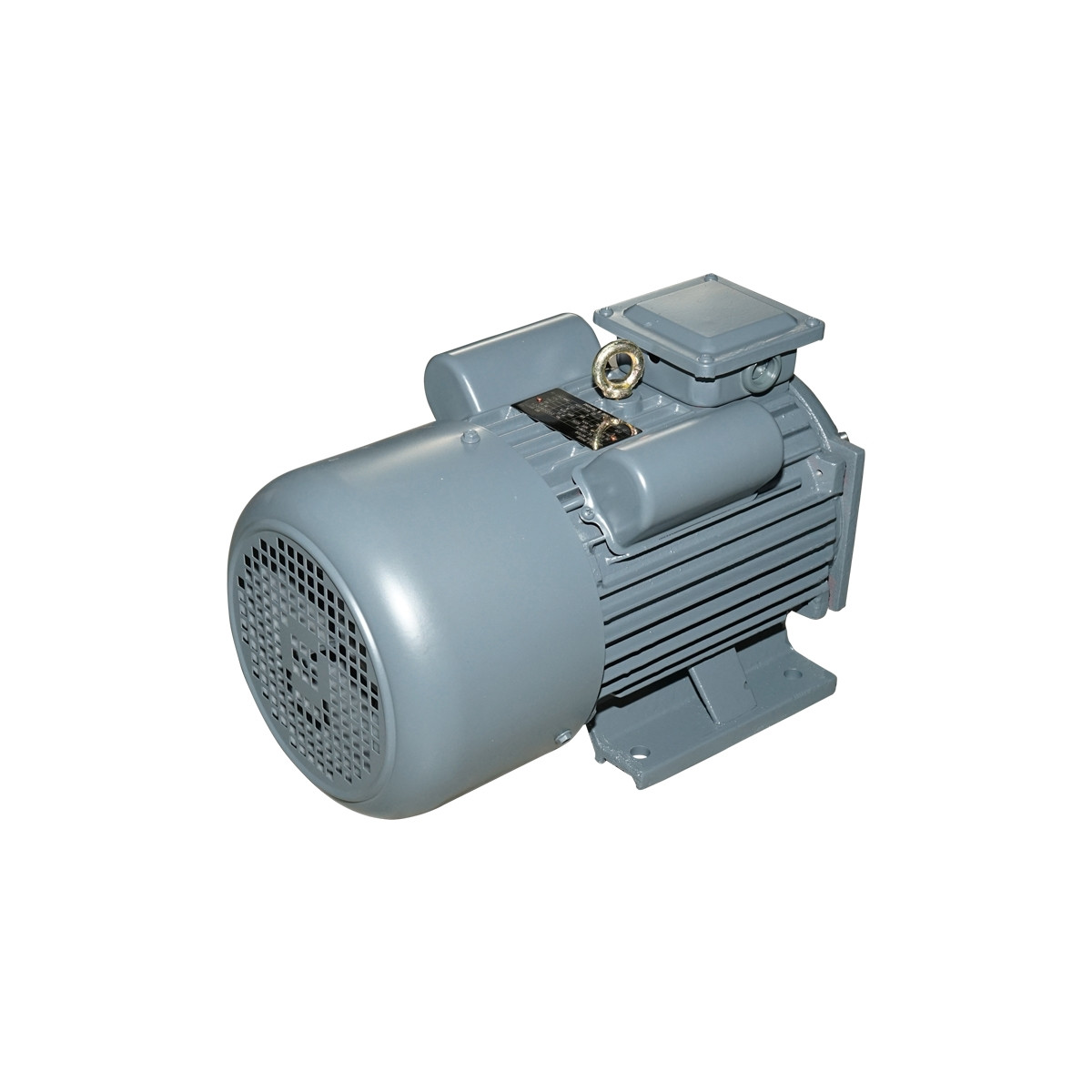 Motor electric 4KW, 220V pentru granulator furaje 40TH168, Cod: DISKN08 - 3 | YEO