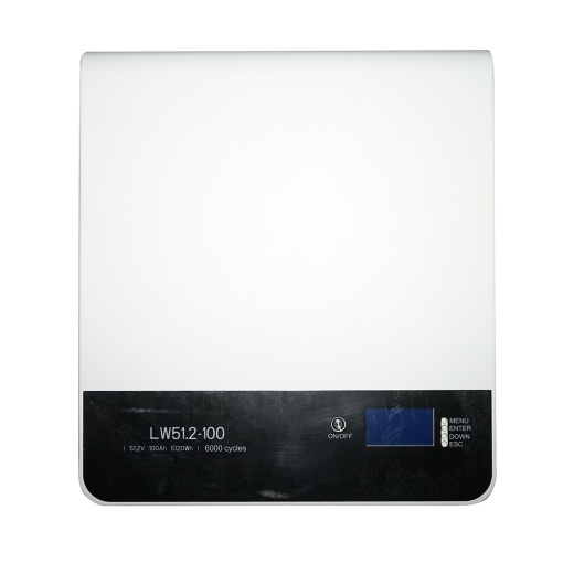 Baterie Li-ion LifePo4 51.2V, 100Ah cu BMS, Bluetooth, display LCD, protectie temperatura, conexiune in paralel Leoch Battery, Cod: DISTM90