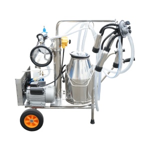 Aparat de muls vaci 1 post 750W, 220V bidon inox 25L, grup de muls cu 4 mansoane, presiune vid 40-50 kPa, pulsatii 60-80 cpm, Cod: DISPL04 - Img 3