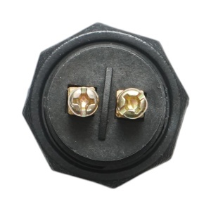 Buton pornire 12V/10A–24V/5A alb cu 2 pini universal, AUTOSPEED, DISRM44 - Img 5