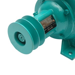 Pompa apa centrifuga cu fulie dubla 1.1kW, 2 toli, debit 12 m3/h, adancime aspiratie 9m, inaltime pompare 15m pentru irigatii, DISWK85 - Img 8